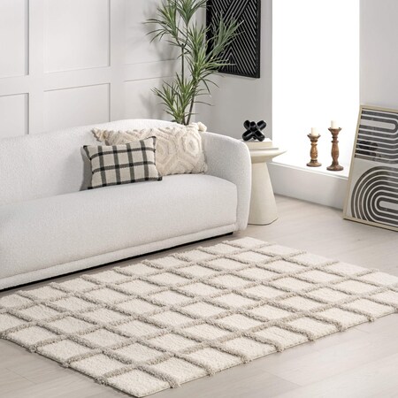 Nuloom Christabel Checkered High-Low Shag Area Rug 4ft x 6ft KSCM07A-406